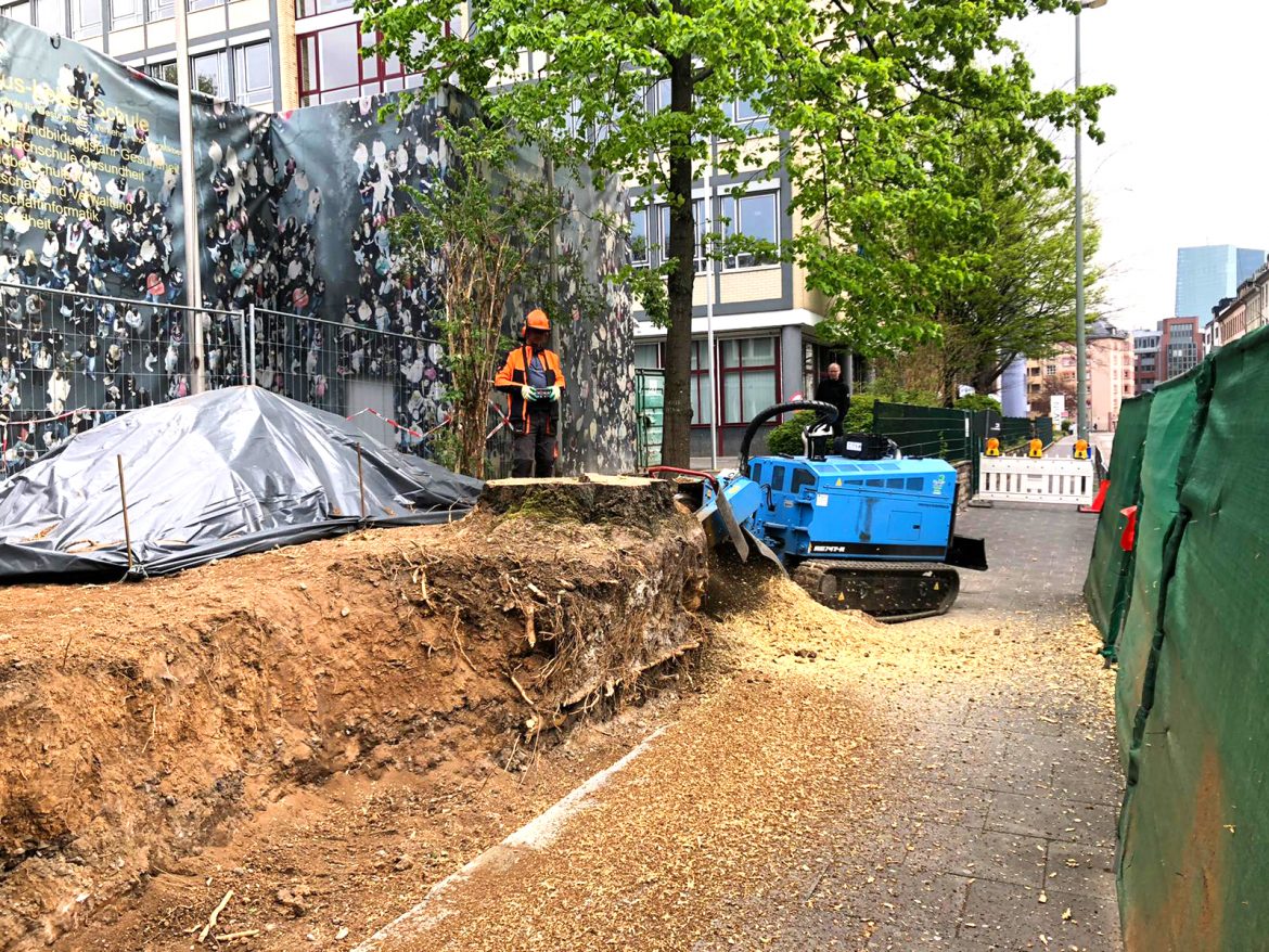 Wurzelfräse Rayco RG 74T-R